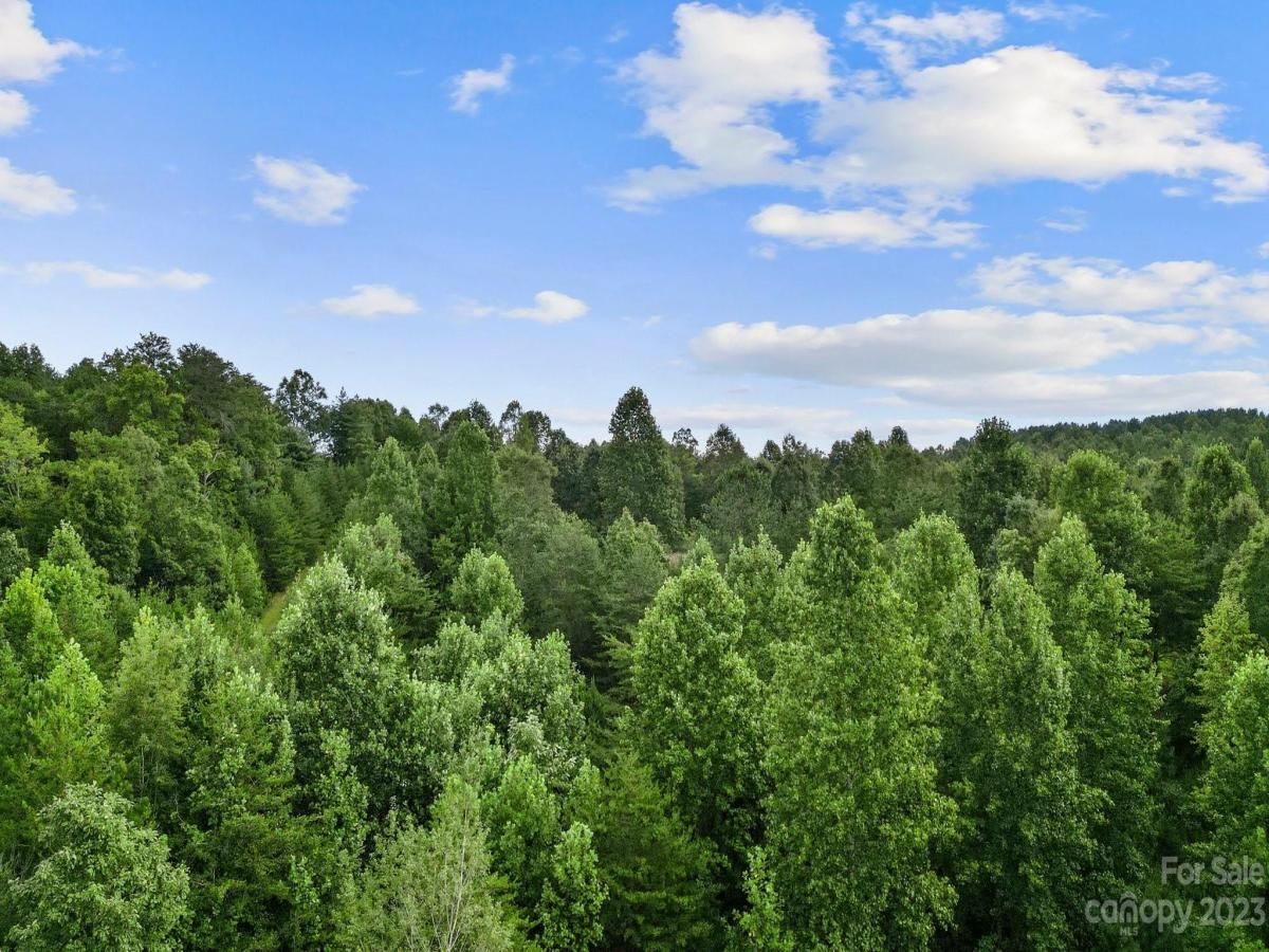 MLS #CAR4070132 image #16