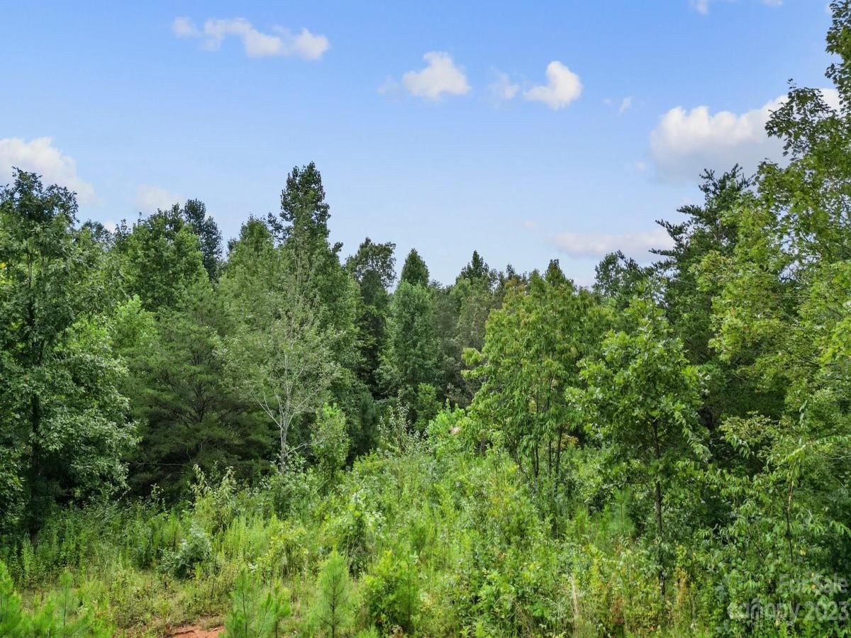 MLS #CAR4070132 image #18