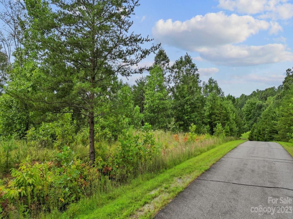 MLS #CAR4070132 image #19