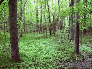 MLS #CAR4072408 image #1