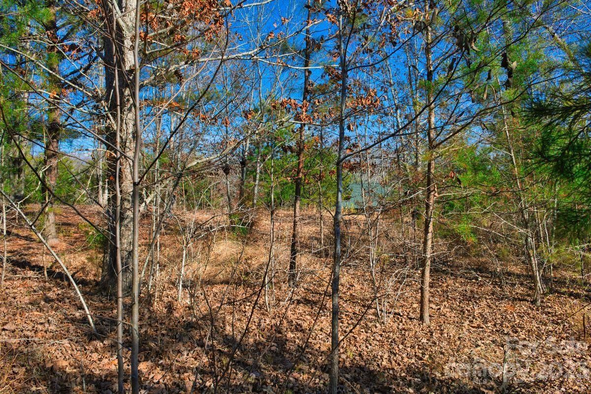 MLS #CAR4072484 image #1