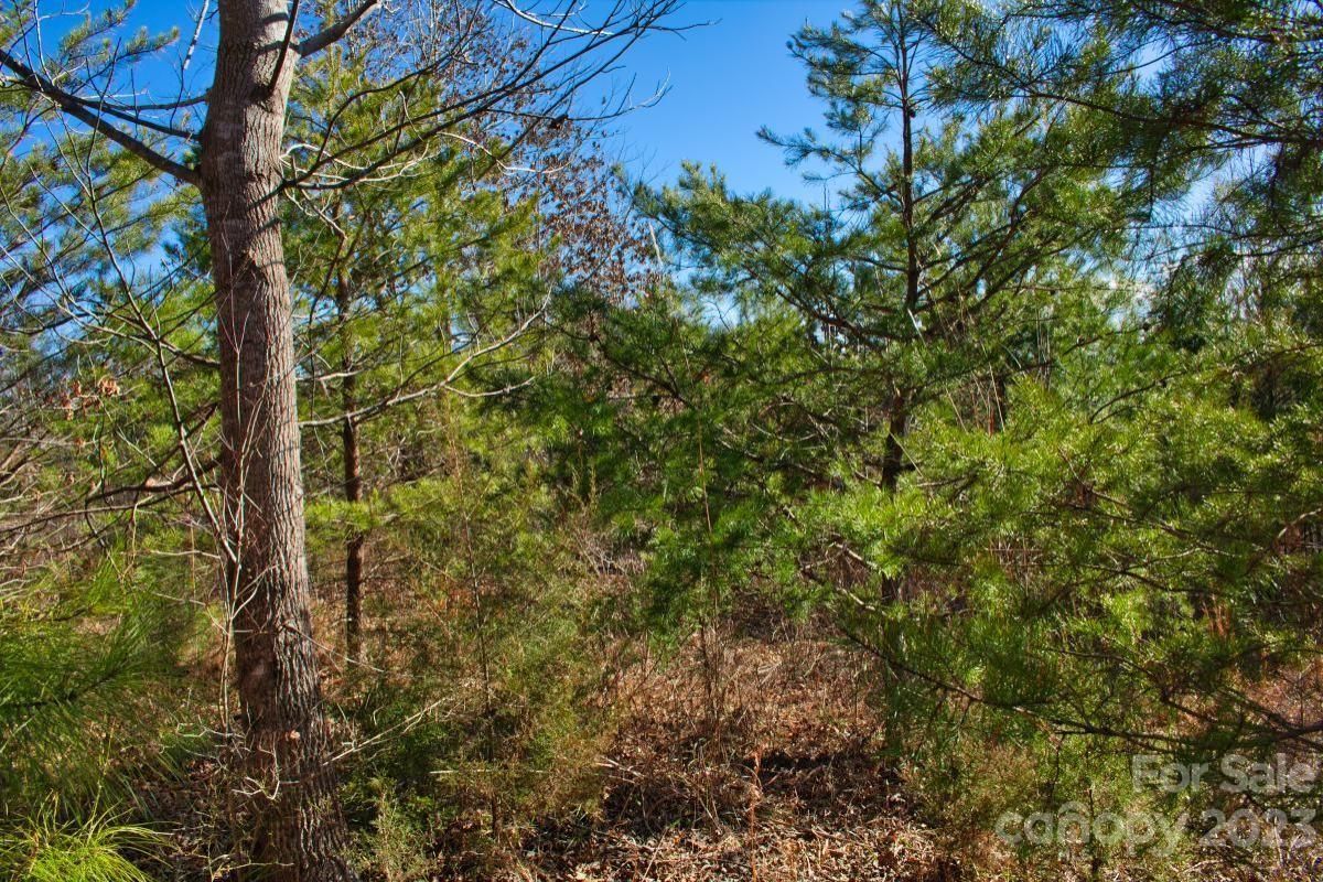 MLS #CAR4072484 image #2