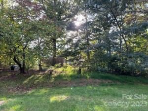 MLS #CAR4074622 image #38