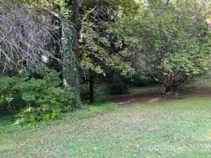 MLS #CAR4074622 image #43