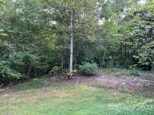 MLS #CAR4074622 image #45