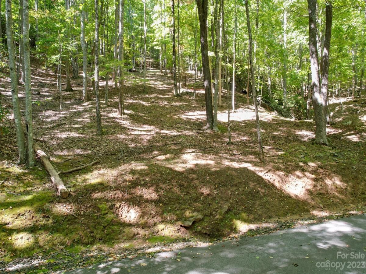 MLS #CAR4075432 image #0