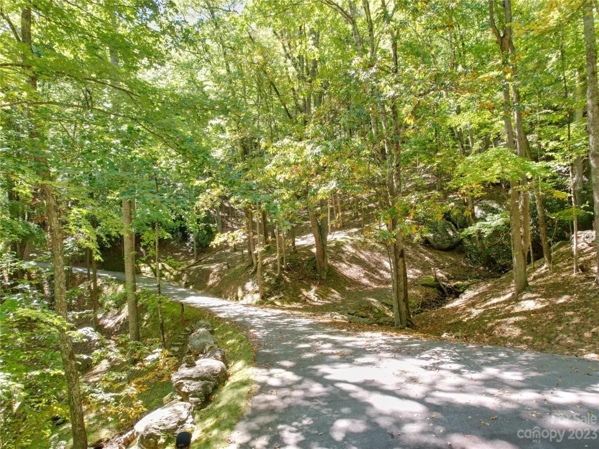 MLS #CAR4075432 image #1