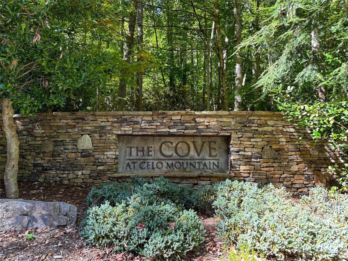 MLS #CAR4075432 image #11