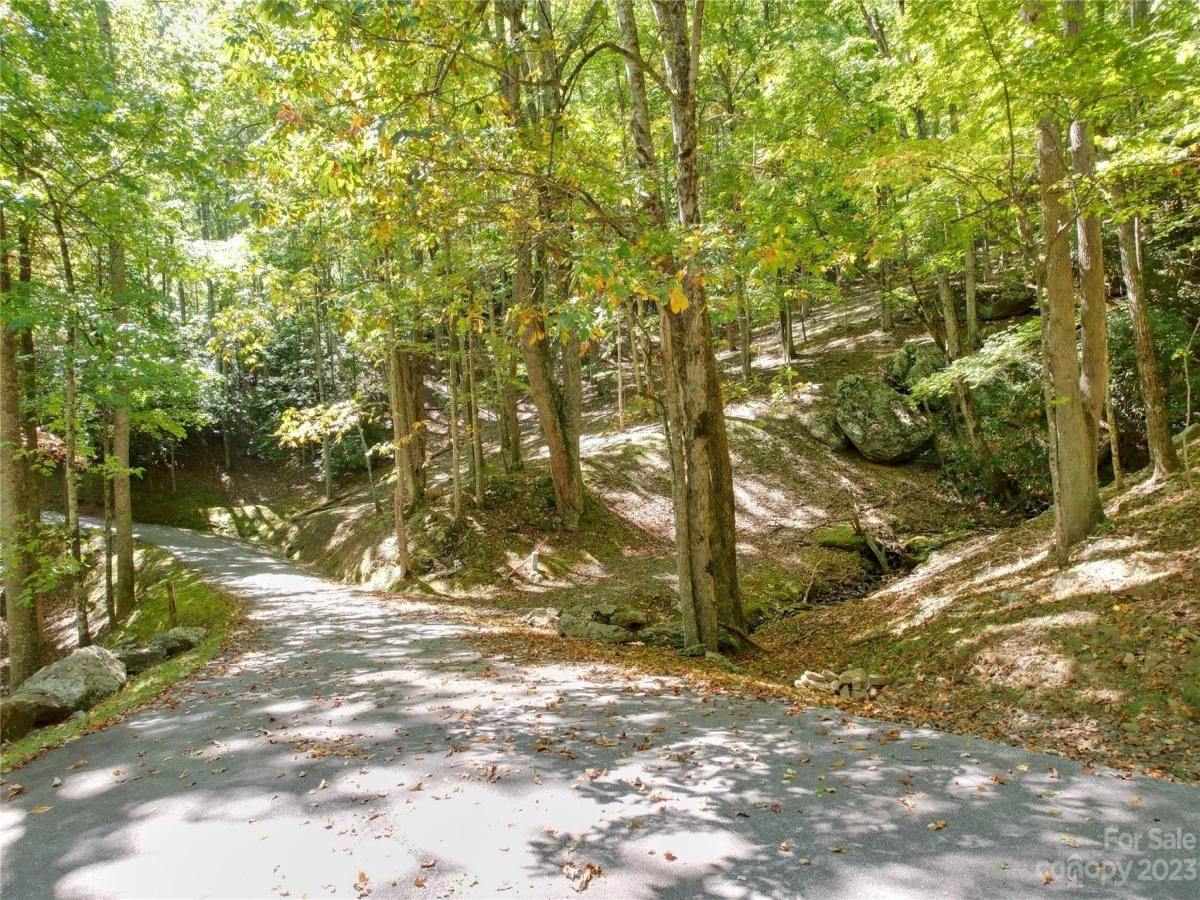 MLS #CAR4075432 image #12