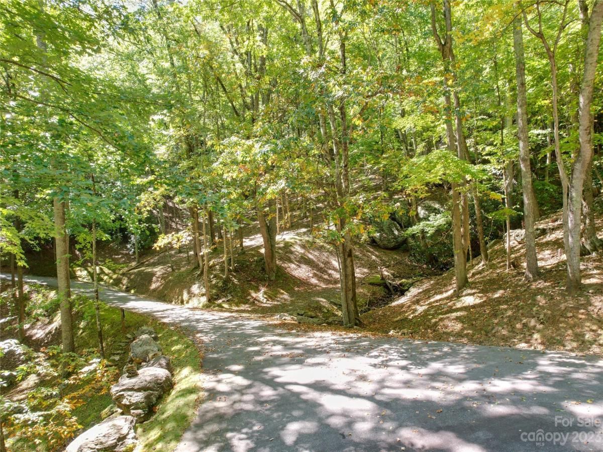 MLS #CAR4075432 image #13