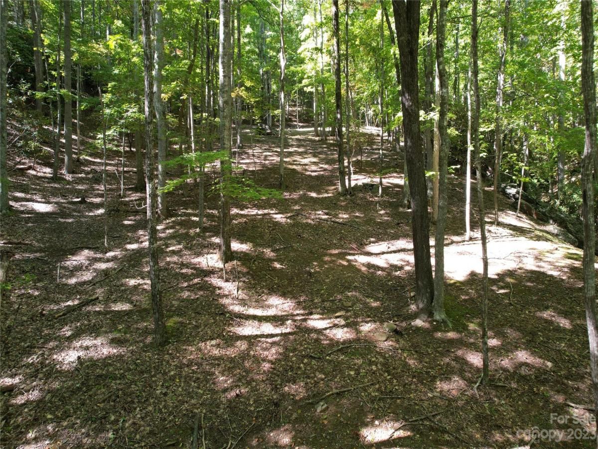 MLS #CAR4075432 image #14