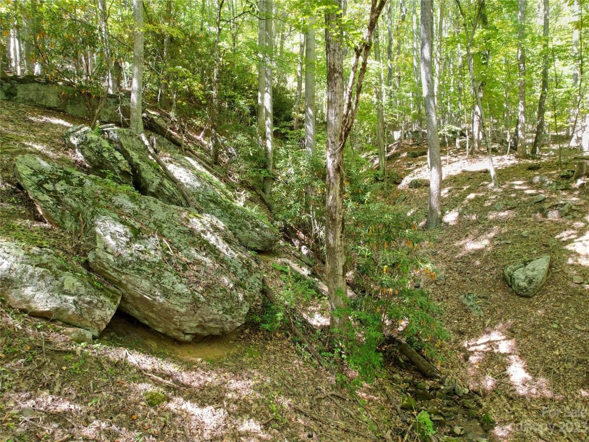 MLS #CAR4075432 image #17