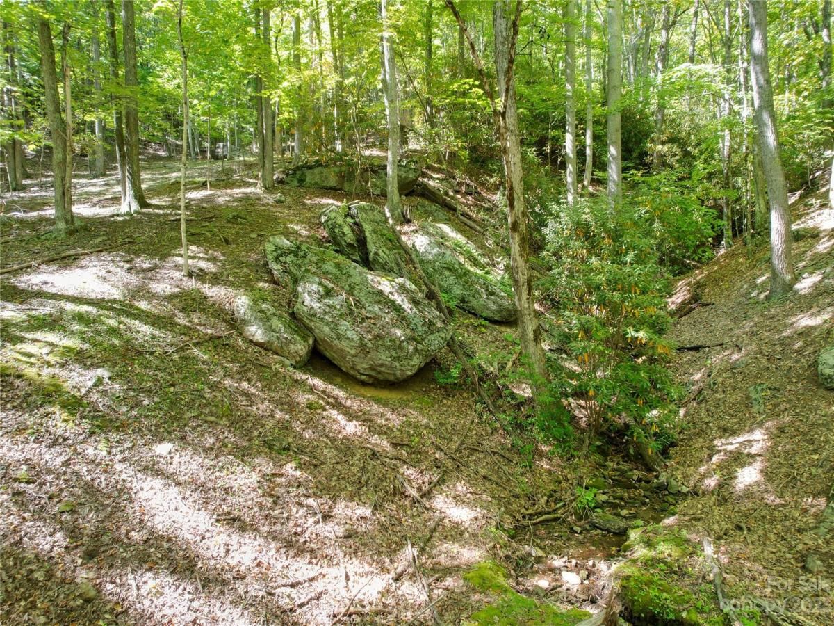 MLS #CAR4075432 image #18