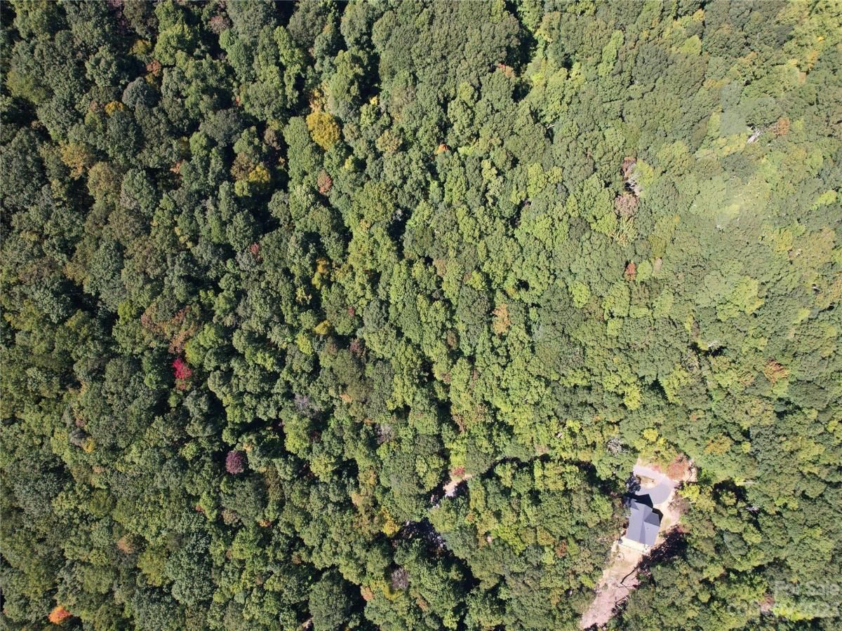 MLS #CAR4075432 image #19