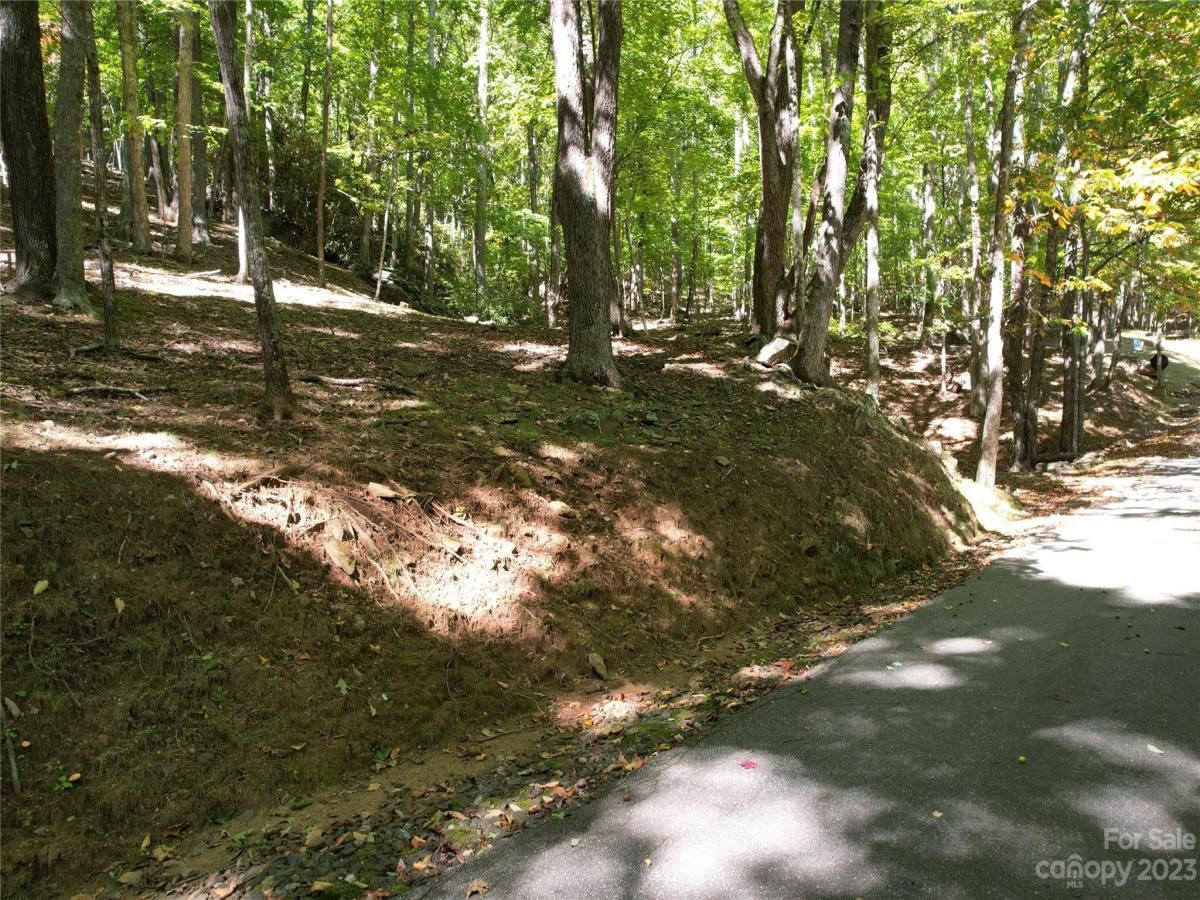 MLS #CAR4075432 image #2