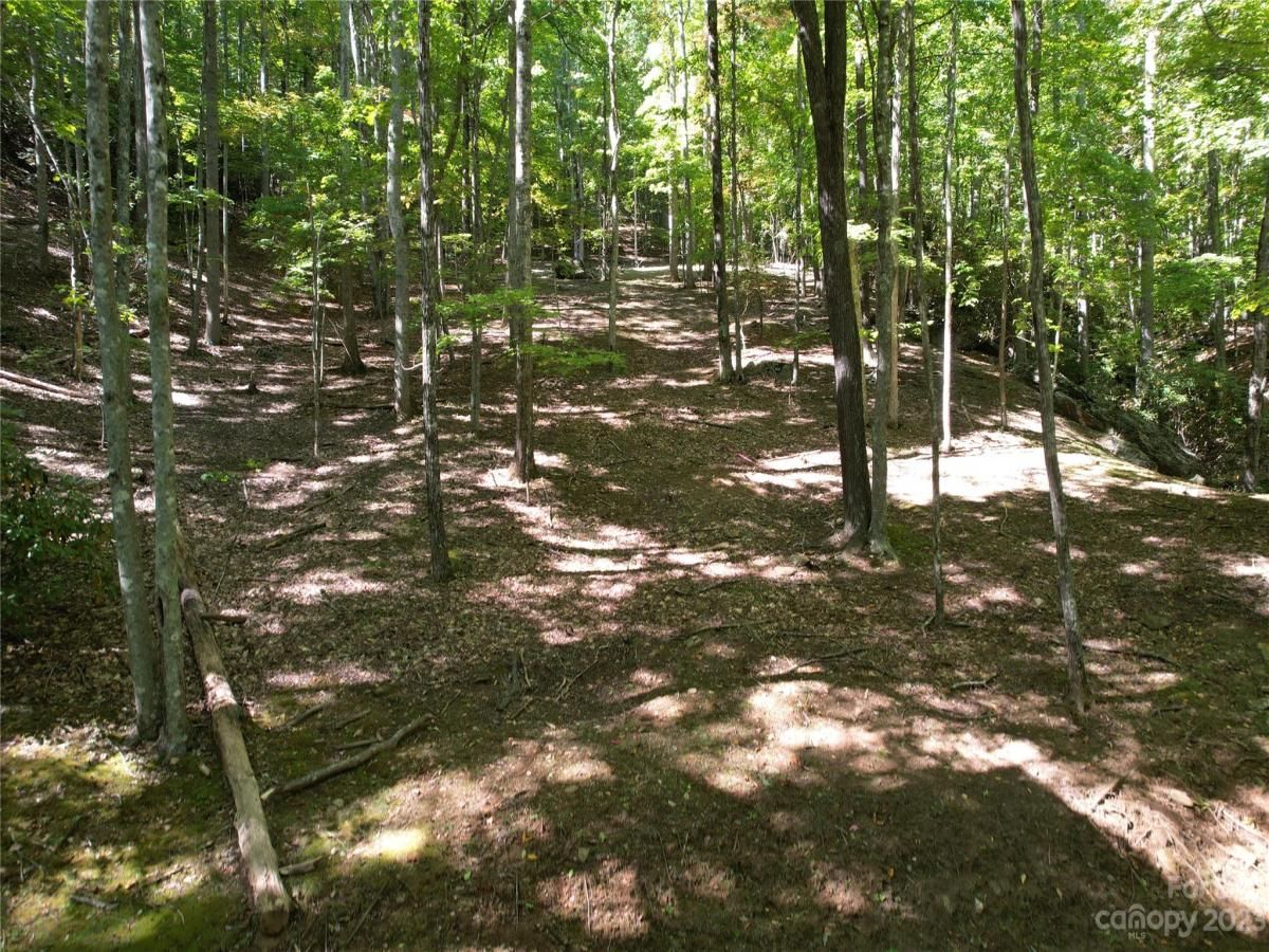 MLS #CAR4075432 image #3