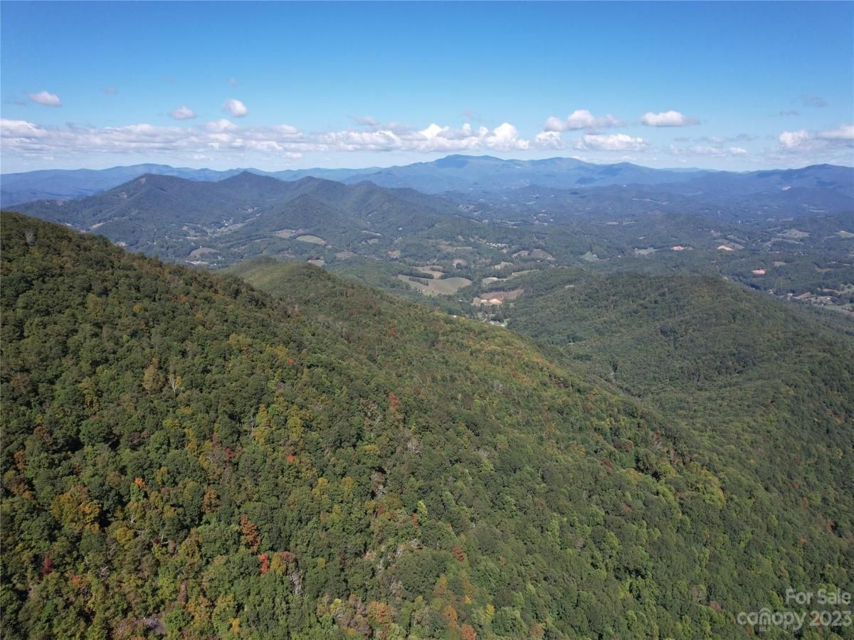 MLS #CAR4075432 image #4