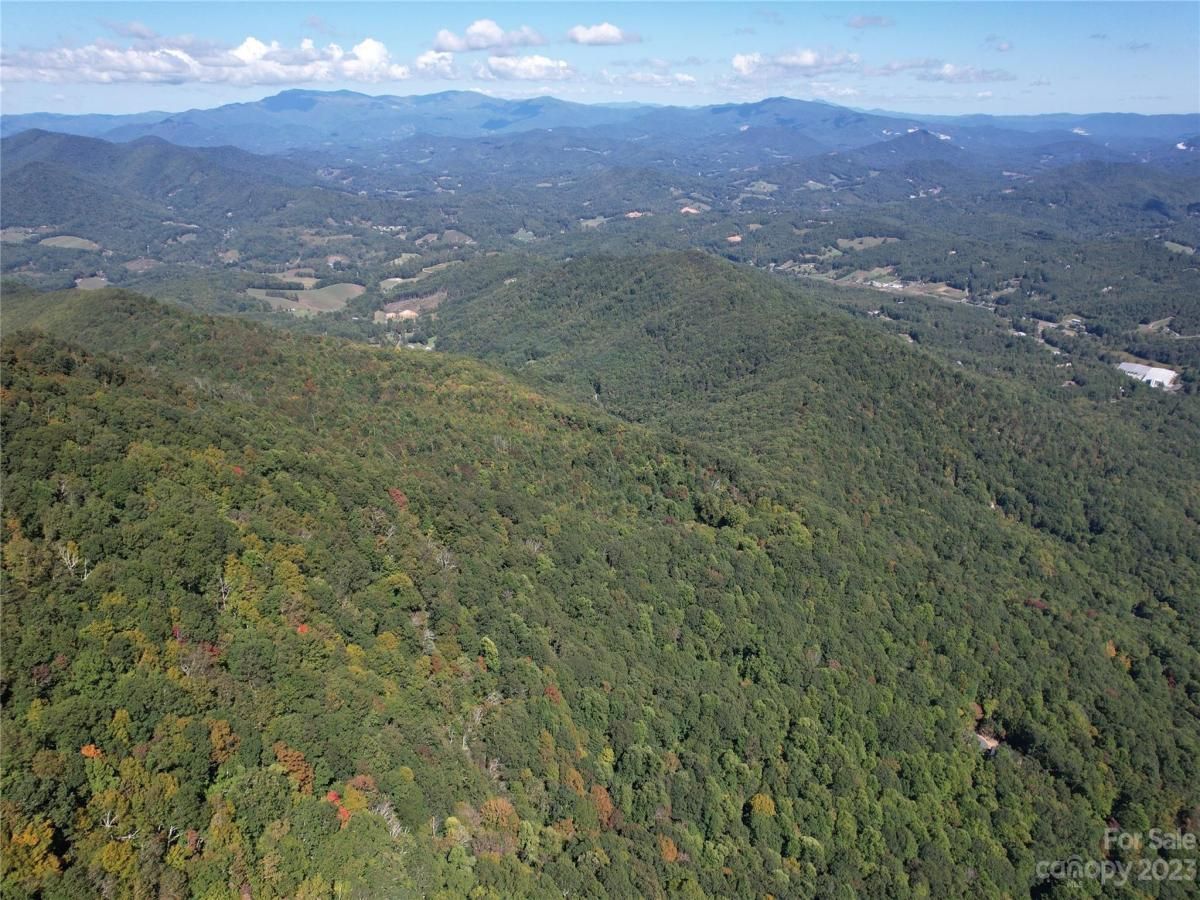 MLS #CAR4075432 image #5