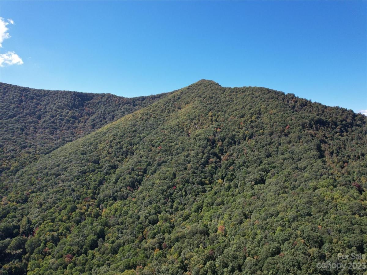 MLS #CAR4075432 image #6