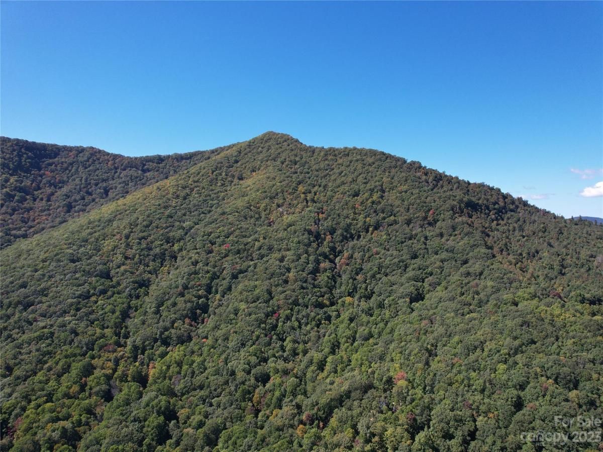 MLS #CAR4075432 image #7