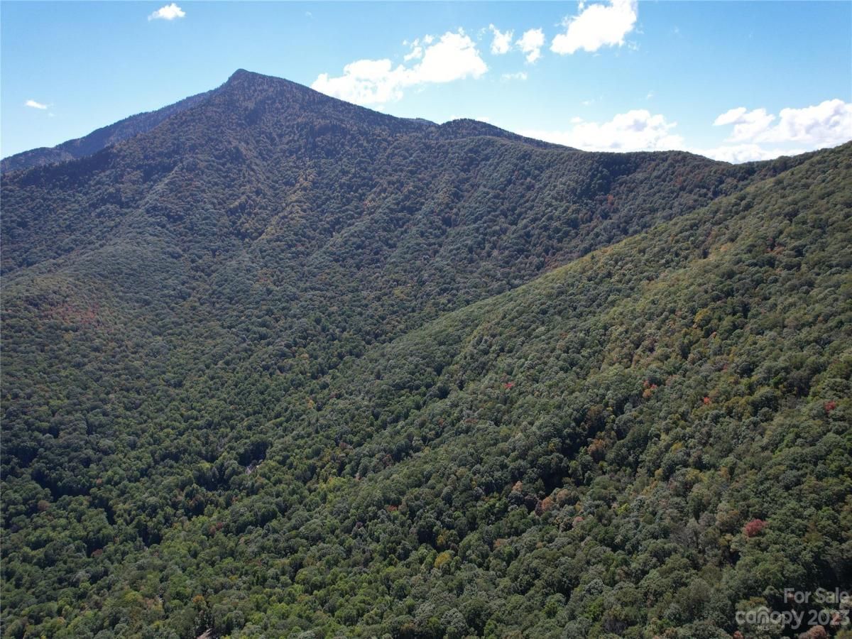 MLS #CAR4075432 image #8