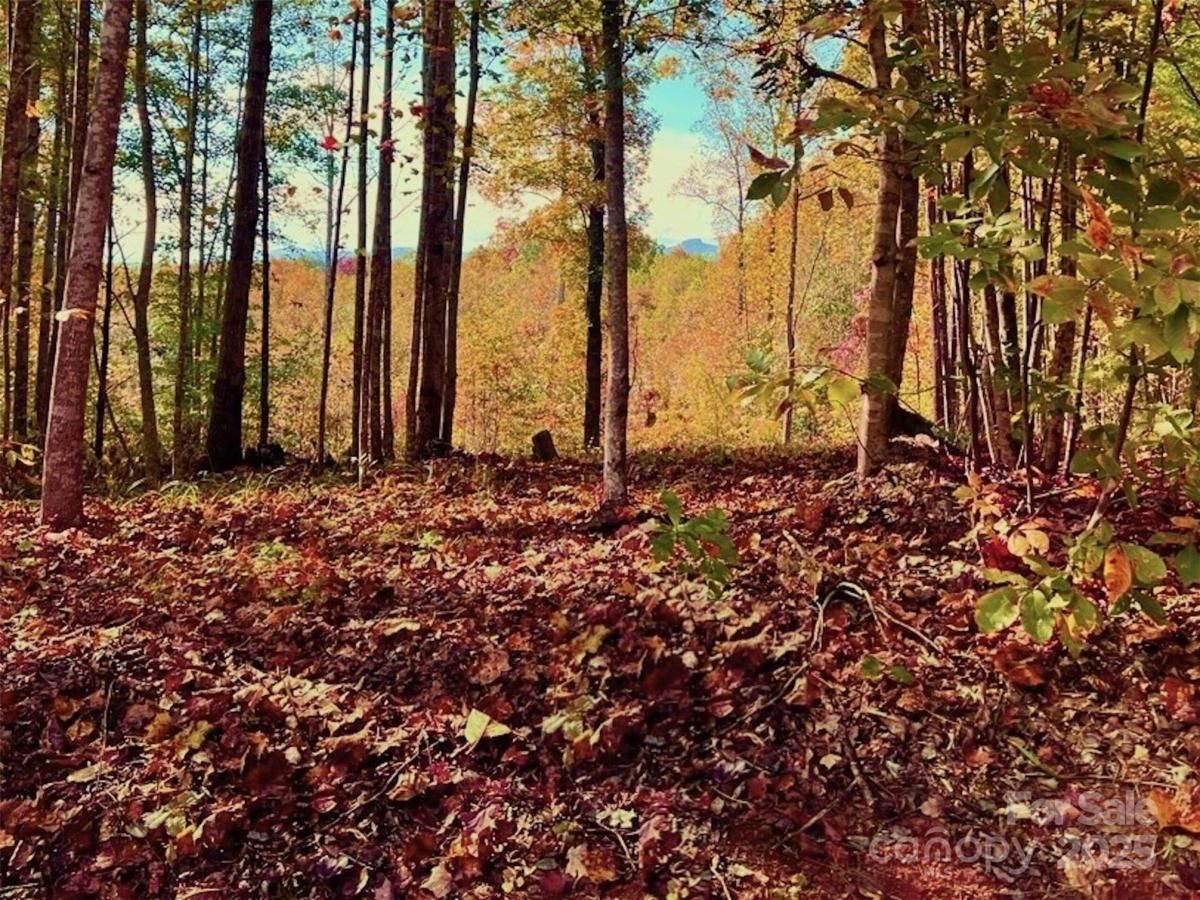 MLS #CAR4078004 image #0