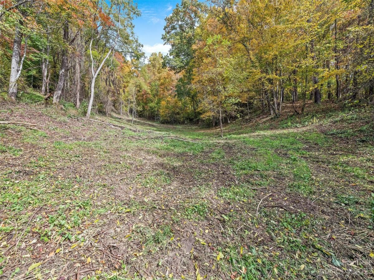 MLS #CAR4078191 image #15