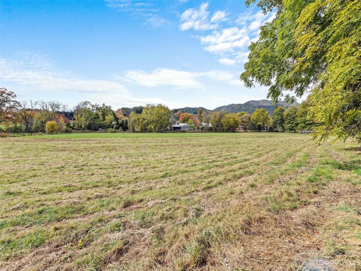 MLS #CAR4078191 image #4