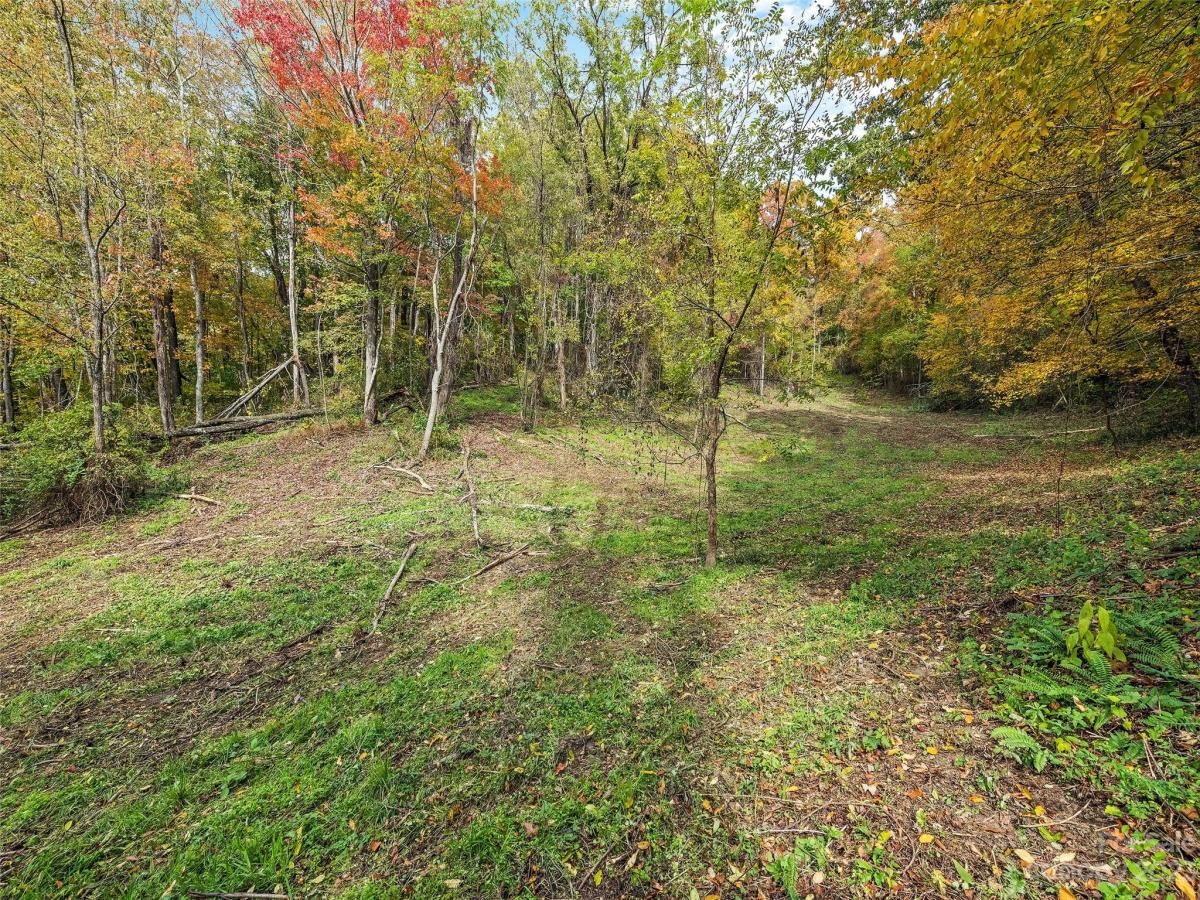 MLS #CAR4078191 image #5