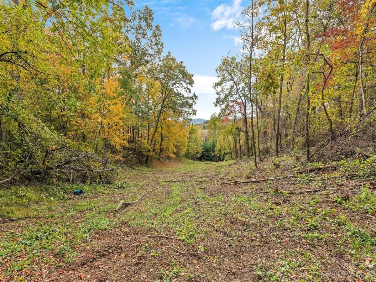 MLS #CAR4078191 image #6