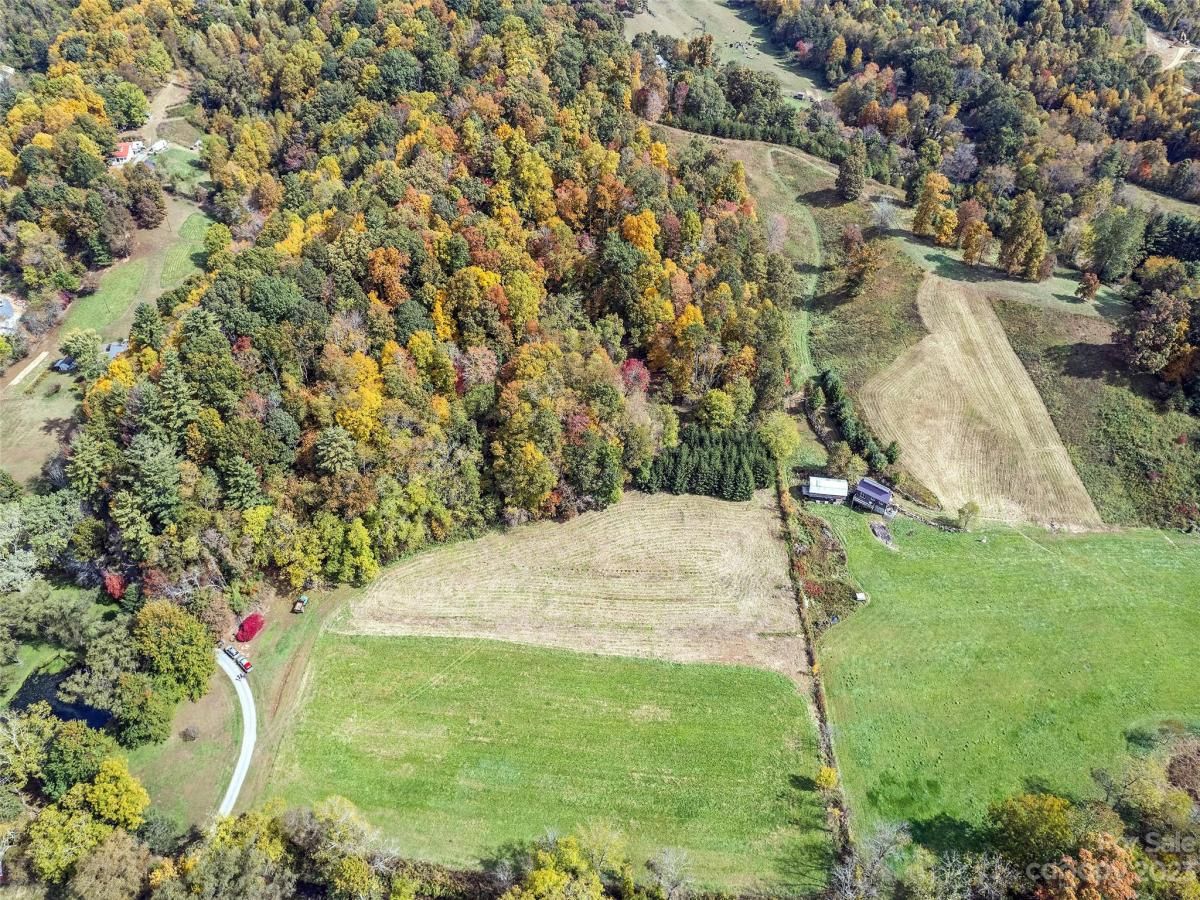 MLS #CAR4078191 image #7