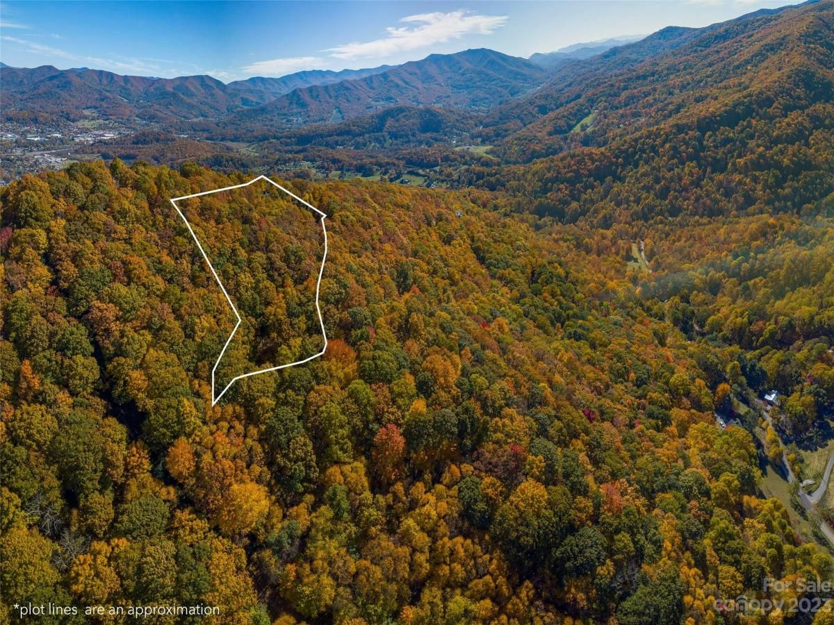 MLS #CAR4081130 image #6