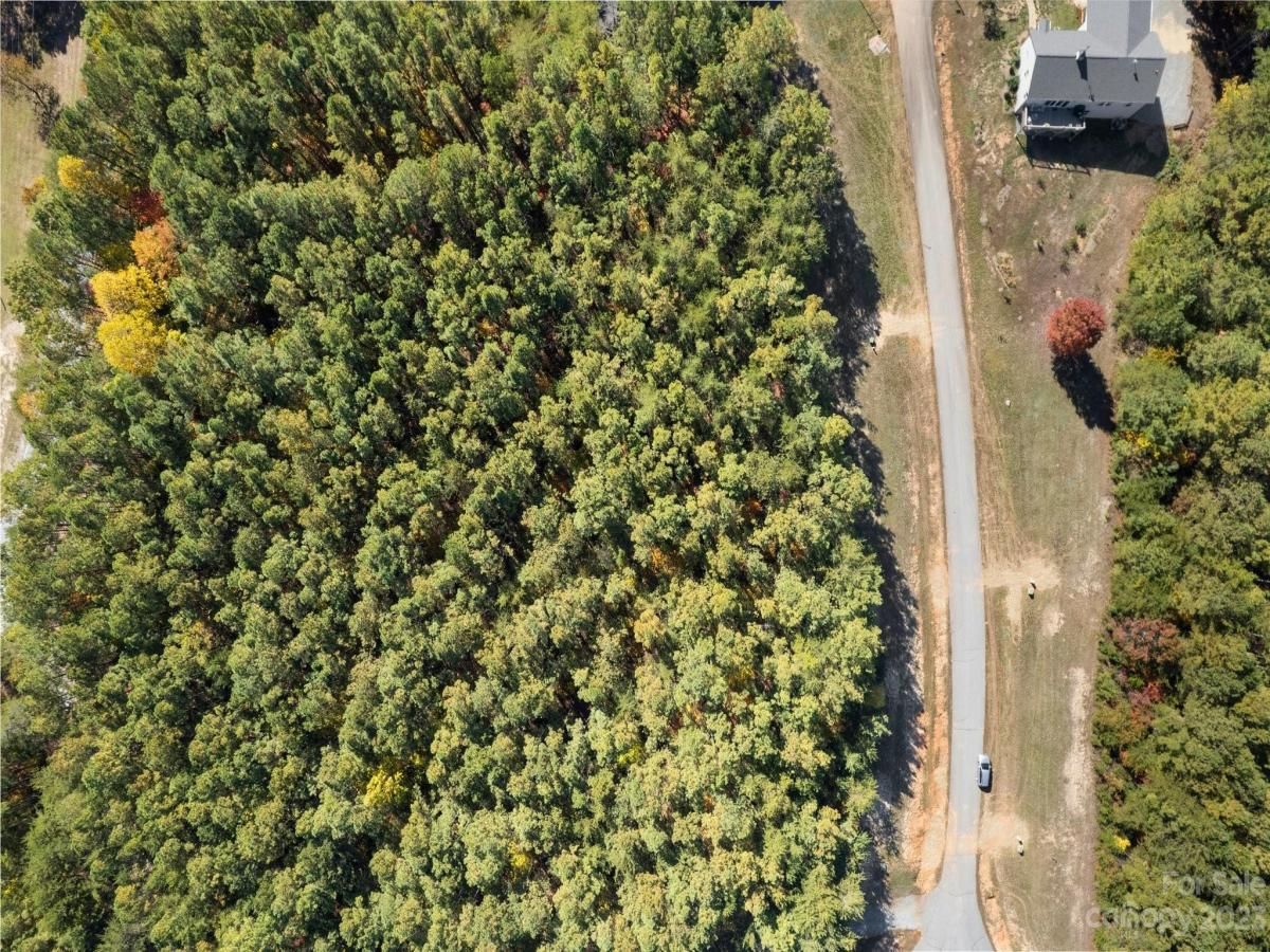 MLS #CAR4081983 image #4