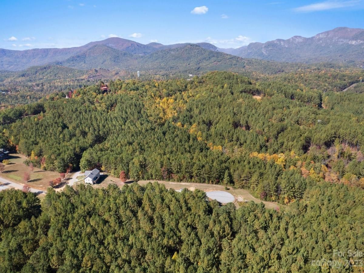 MLS #CAR4081996 image #3