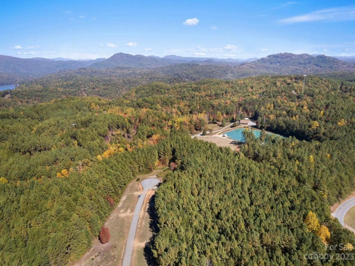 MLS #CAR4081996 image #4