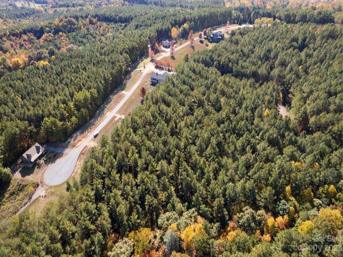 MLS #CAR4081996 image #6