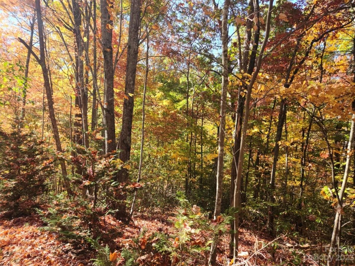 MLS #CAR4083029 image #0