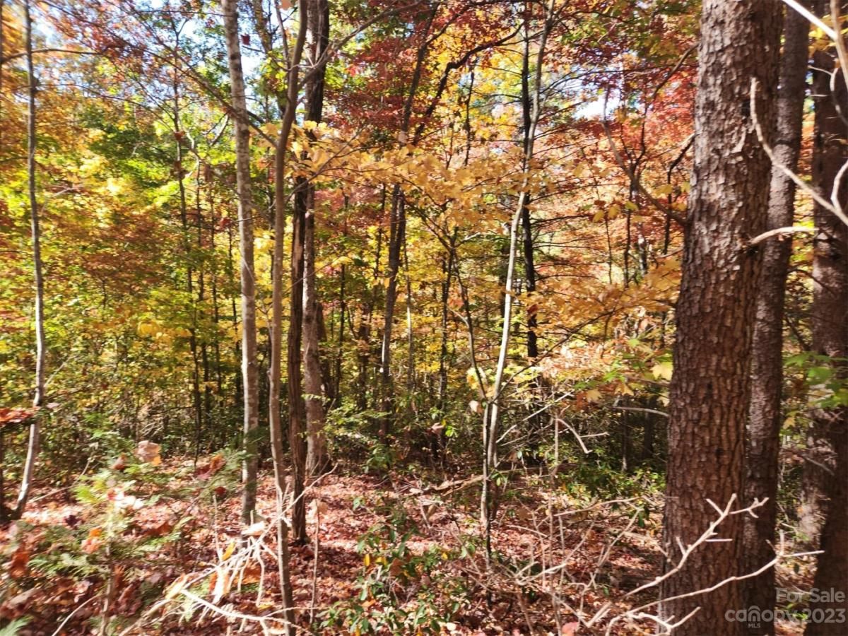 MLS #CAR4083029 image #1