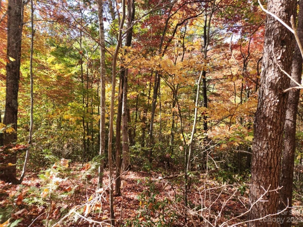 MLS #CAR4083029 image #3