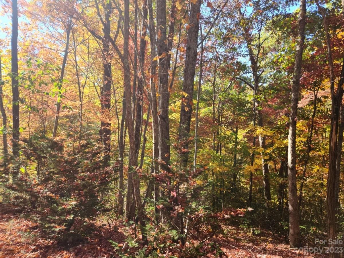 MLS #CAR4083029 image #5