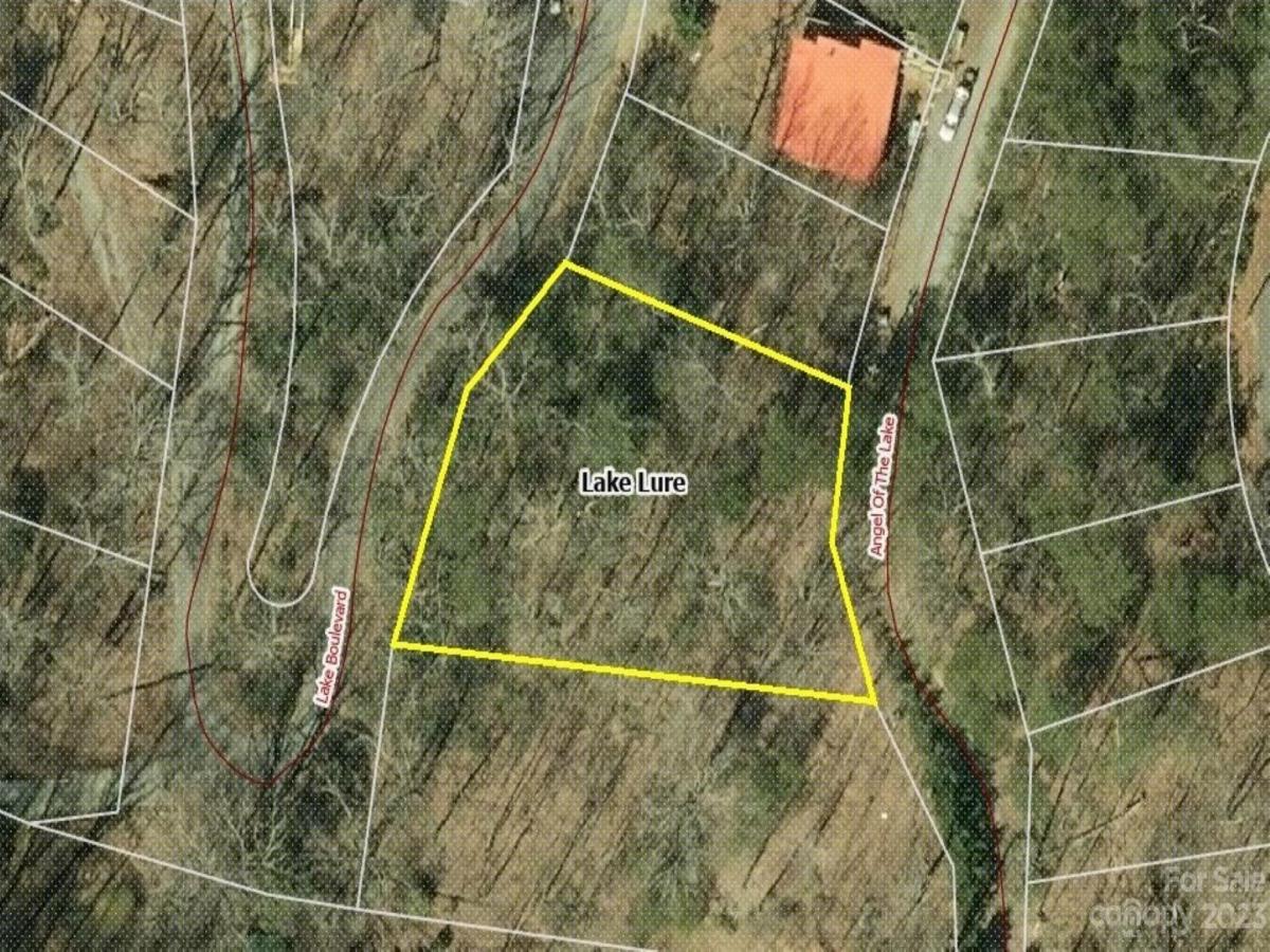 MLS #CAR4083029 image #7