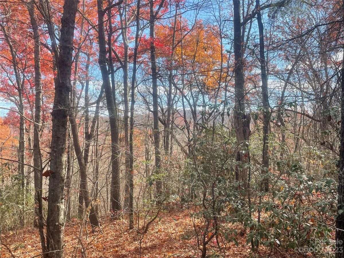 MLS #CAR4083031 image #10