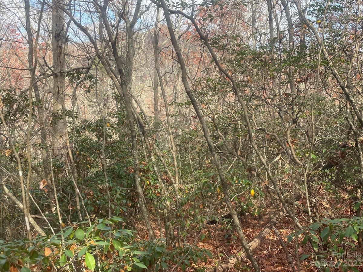 MLS #CAR4083031 image #11