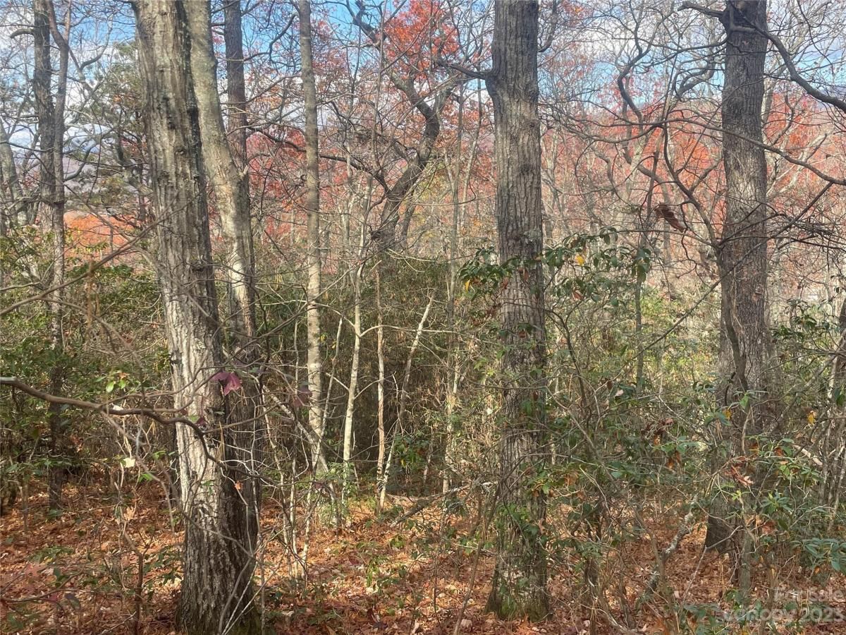 MLS #CAR4083031 image #12