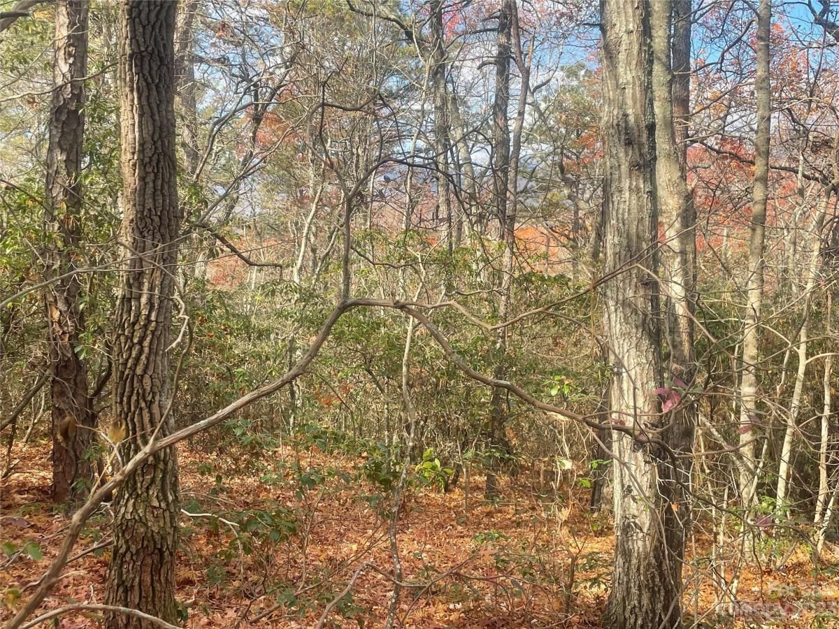 MLS #CAR4083031 image #13