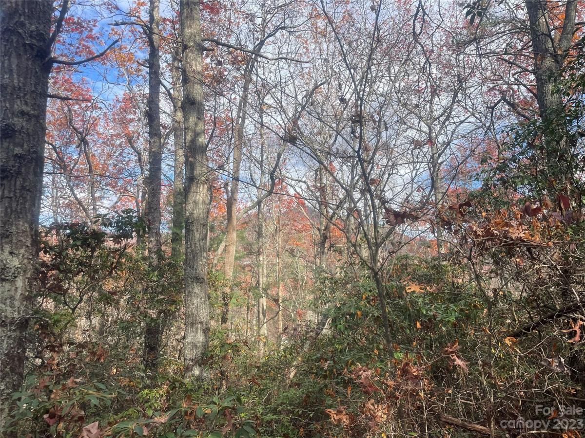 MLS #CAR4083031 image #14