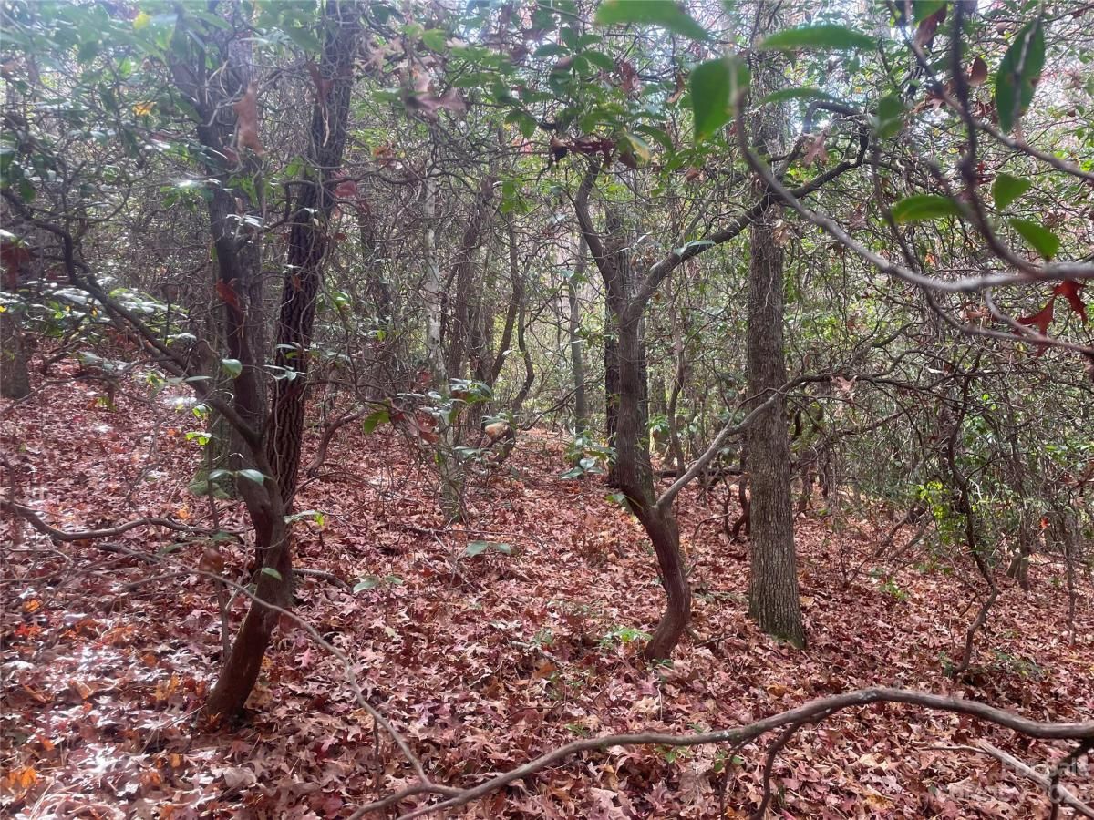 MLS #CAR4083031 image #16