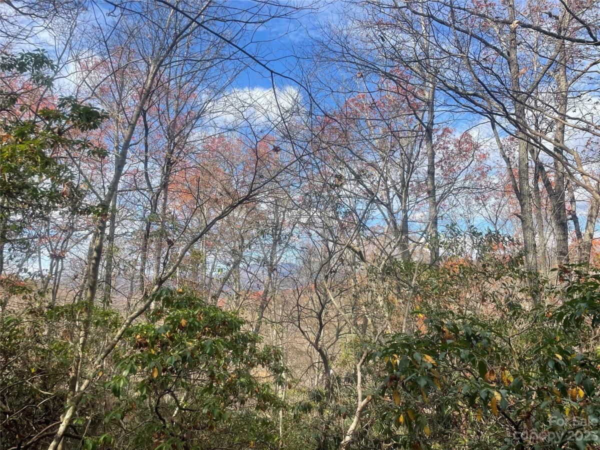 MLS #CAR4083031 image #17