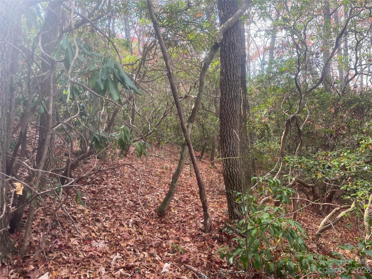 MLS #CAR4083031 image #18