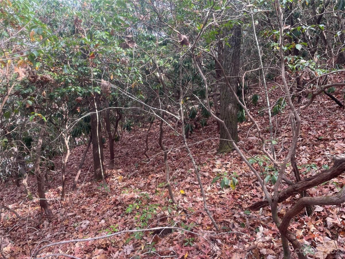 MLS #CAR4083031 image #19